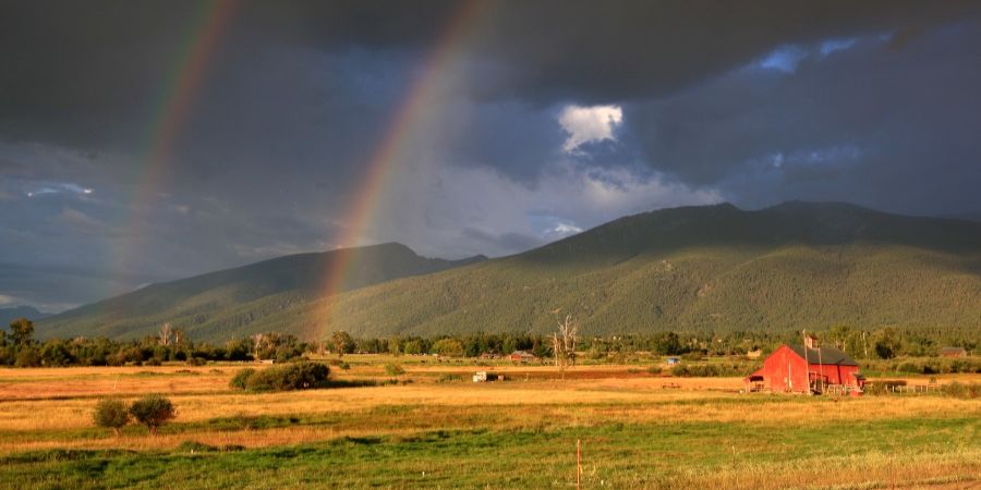 rainbows in the bitterroot valley