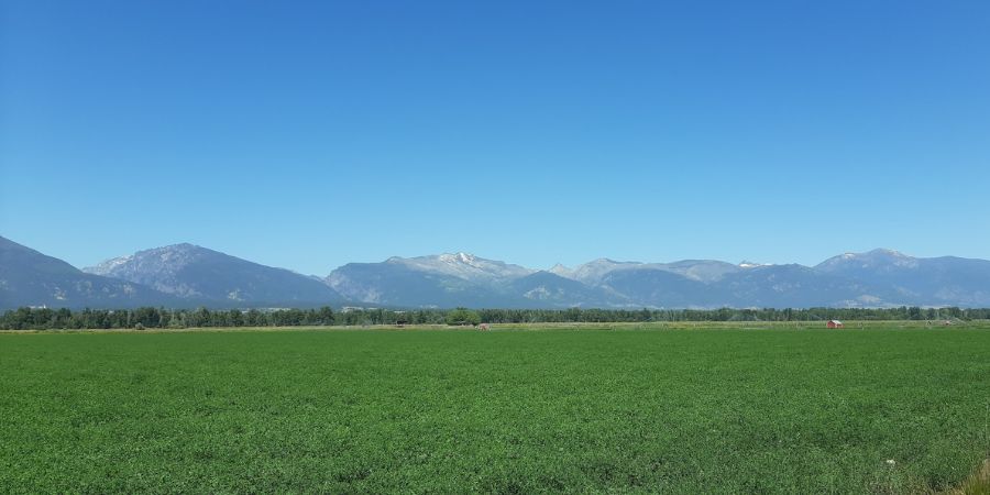 view to the west of corvallis, mt