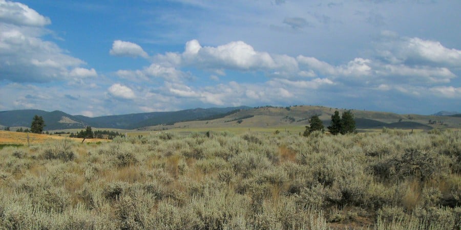 foothills of the sapphire mountains in montana