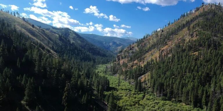 Warm Springs Creek Drainage