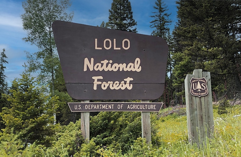 lolo national forest sign