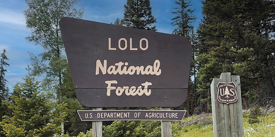 image of a lolo national forest sign