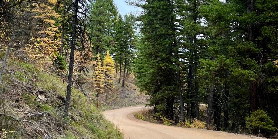 image of the road to bass creek overlook