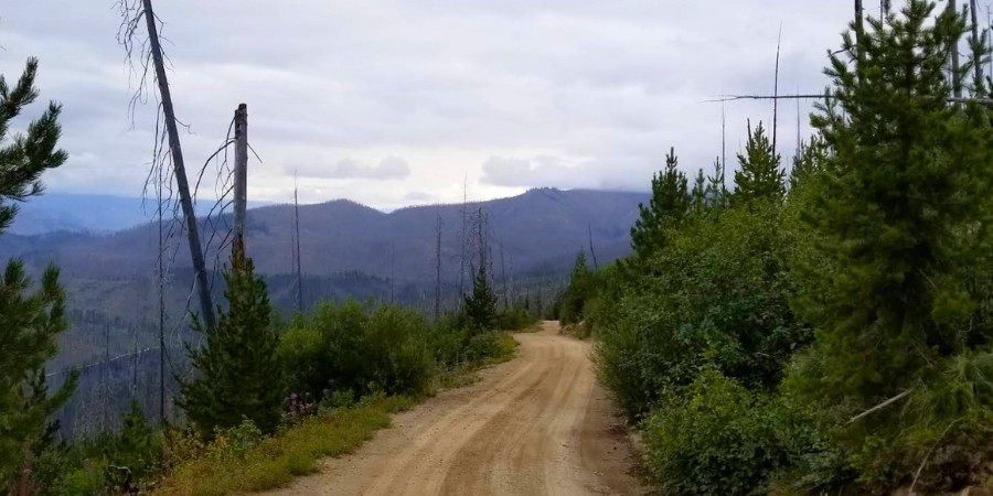 image of the magruder corridor road