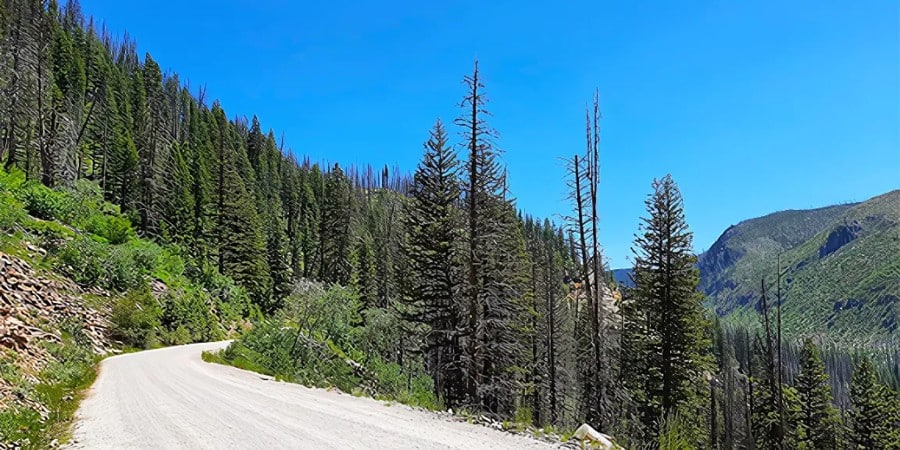 image of skalkaho road near hamilton, mt