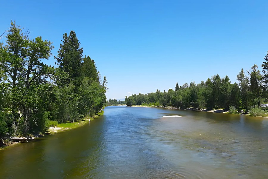 bitterroot river montana