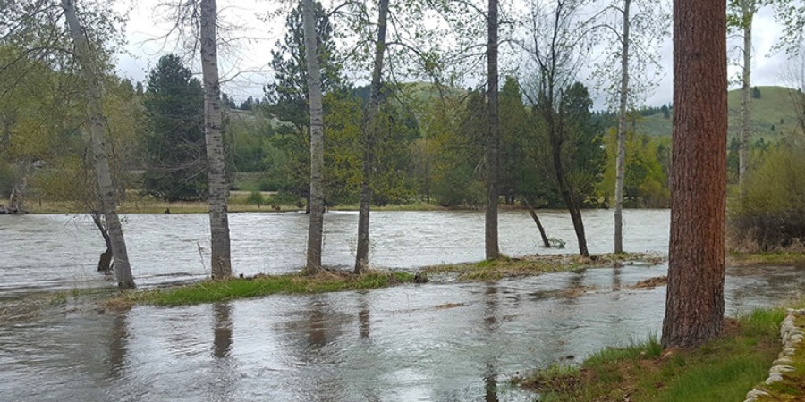 flooding on the bitterroot river