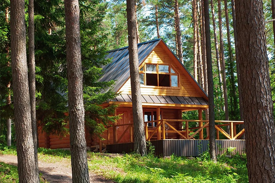 image of a cabin in the woods in montana