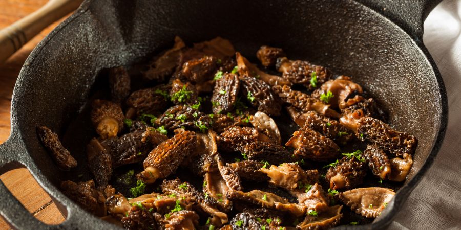 Cooking Morel Mushrooms
