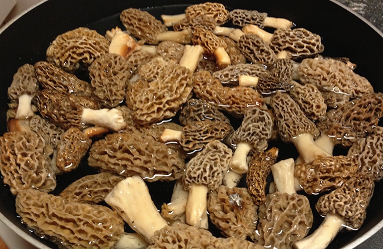 image of a bunch of morel mushrooms in a pan