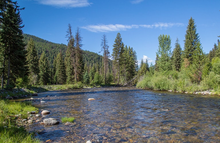 image of the bitterroot valley in montana