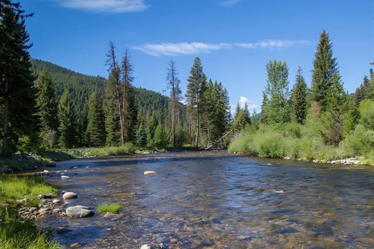 image of the bitterroot valley in montana