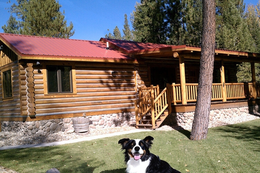 image of a cabin in montana with a dog in the front yard