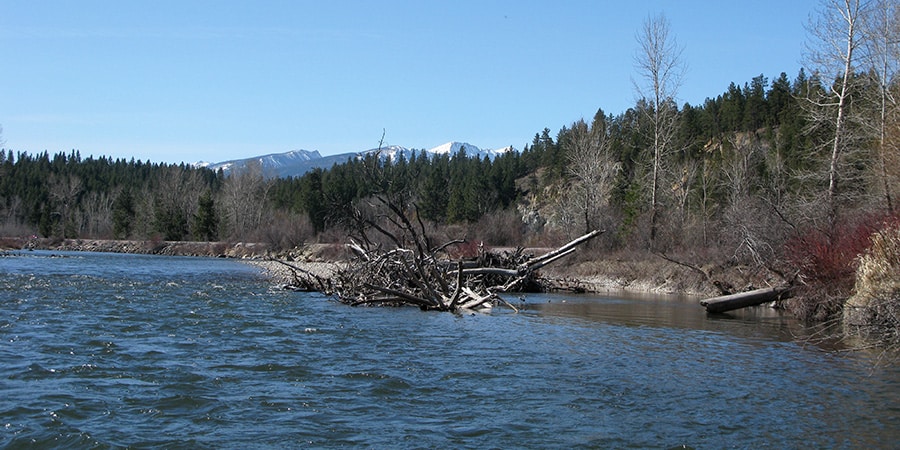 image of the bitterroot river in montana