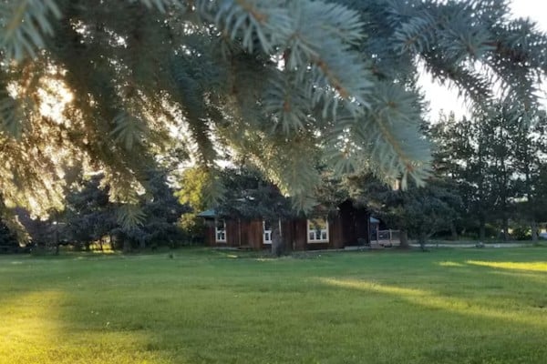 image of a dog friendly home on 2 acres