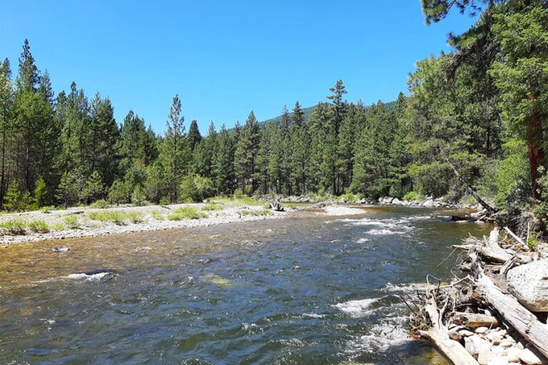 image of the west fork of the bitterroot river