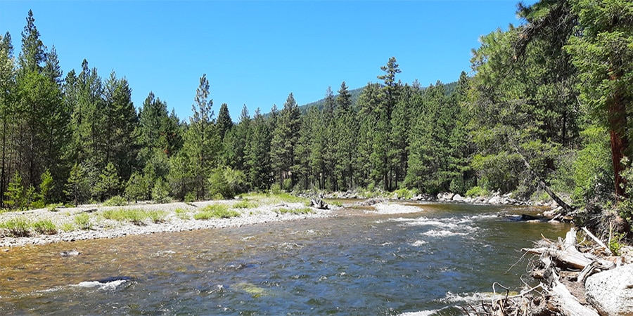 image of the west fork of the bitterroot river