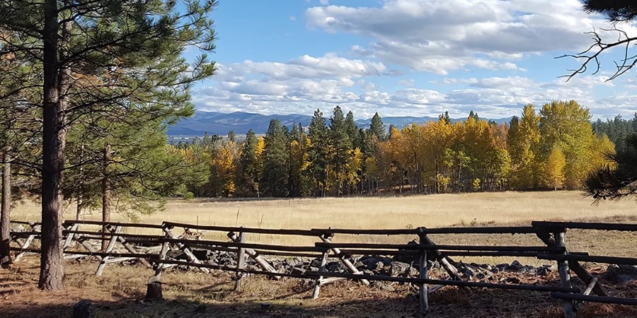 view of the bitterroot valley in montan