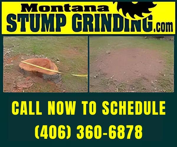 ad for montana stump grinding in hamilton mt