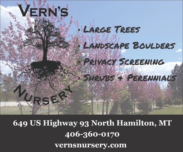 verns nursery in hamilton, mt