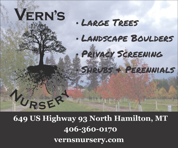 advertisement for vern's nursery in hamilton mt