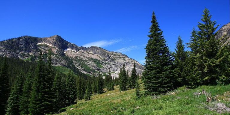 bitterroot mountain wilderness