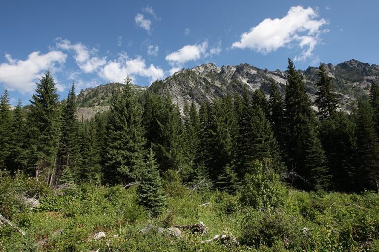 image of the bitterroot mountains in montana