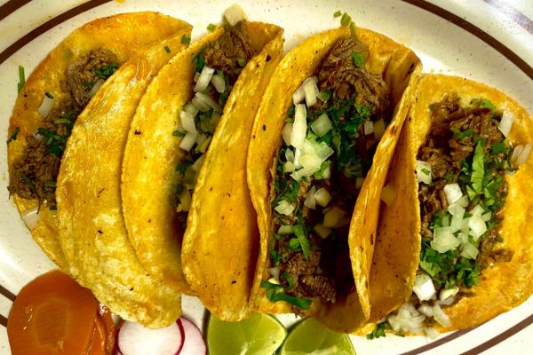 5T Taco, Victor, MT