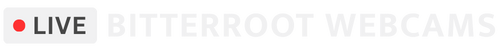 Bitterroot Webcams