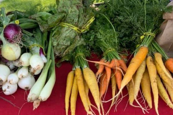 Darby Farmers Market, Darby, MT