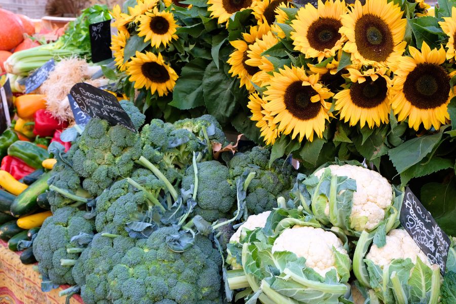 Farmers Markets in the Bitterroot Valley