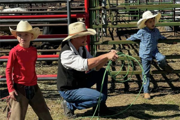 Sheep, Calves, Steers & Barrels - Hamilton, MT