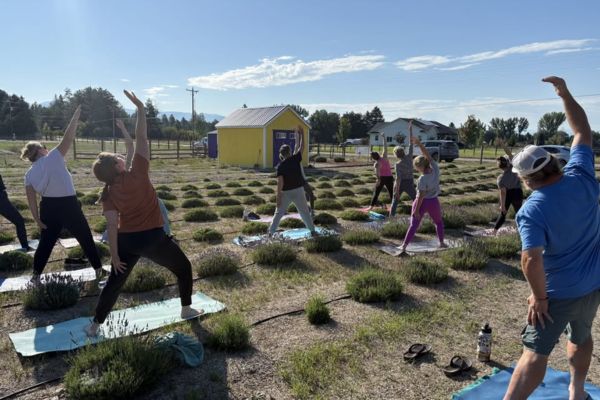 YOGA at Big Sky Lavender Farms - Florence, MT